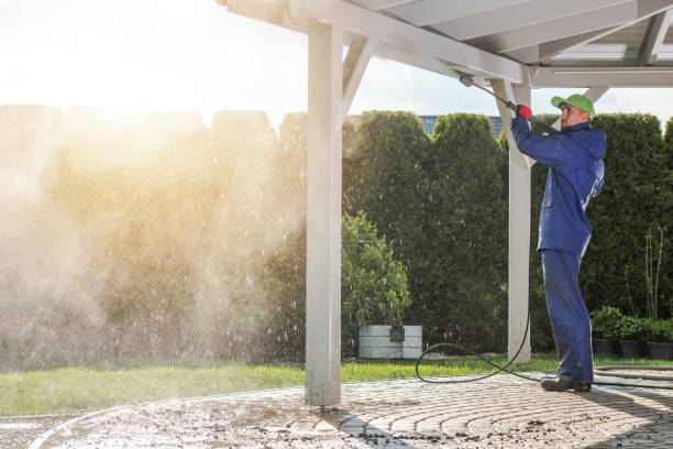 Best Graffiti Removal  in Petersburg, IL