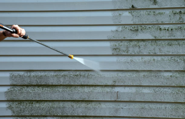 Professional Pressure Washing Services in Petersburg, IL